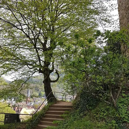 Yoga Jasmin Ehemals Eberhardt-burghardt 巴登韦勒